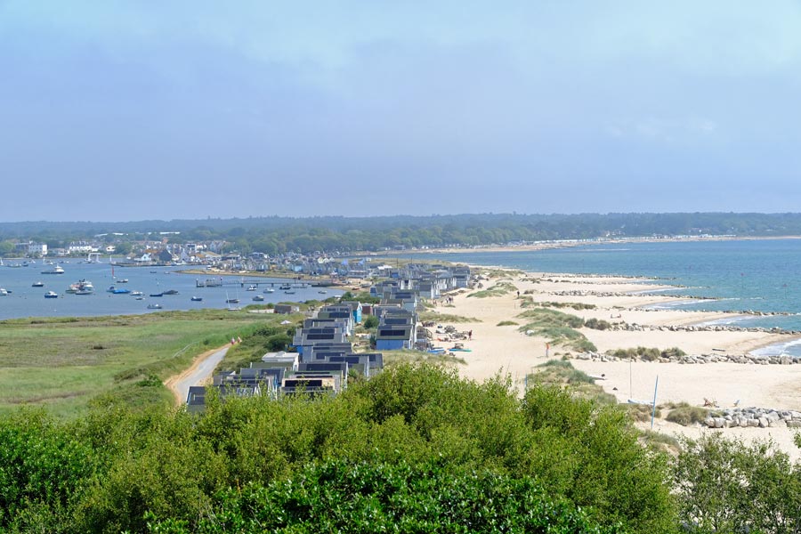 view