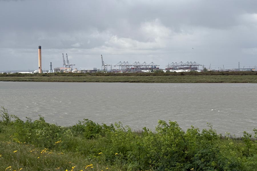 Cranes