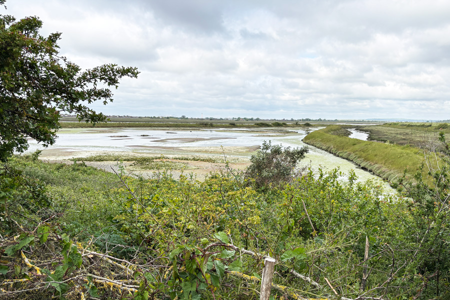 Salt Lagoon