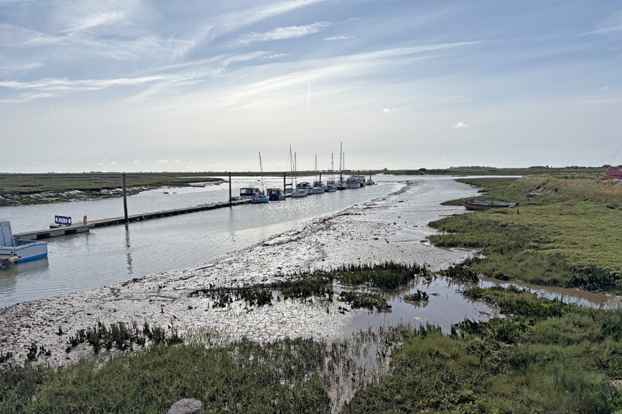 moored boats
