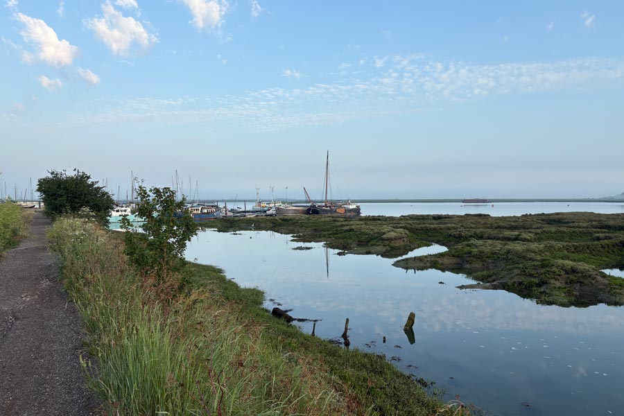 Maylandsea