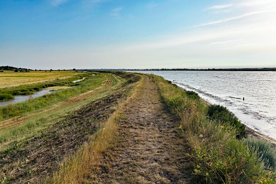 wide track