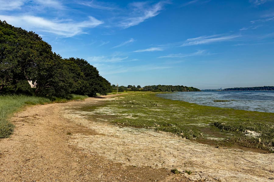 riverbank