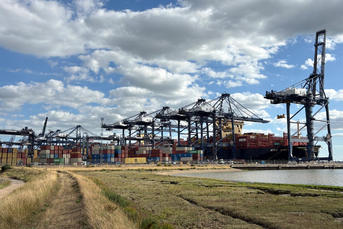 cranes